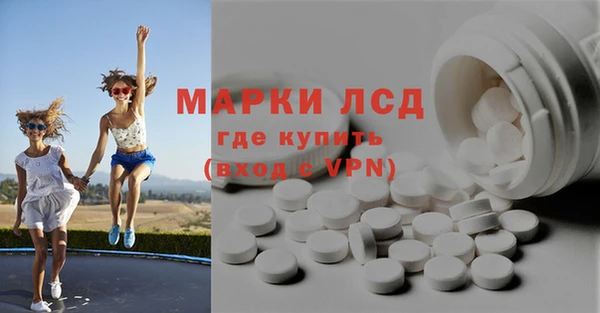 дмт Каменка