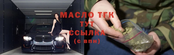 дмт Каменка