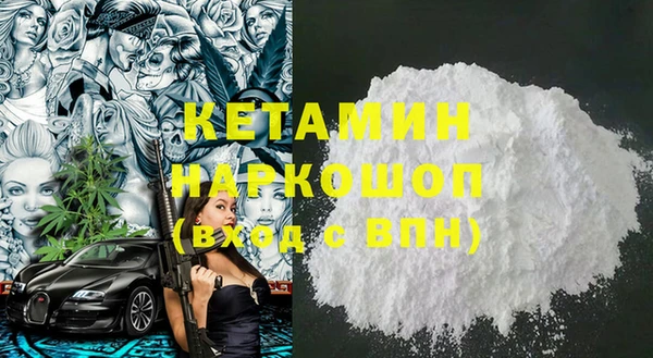 дмт Каменка