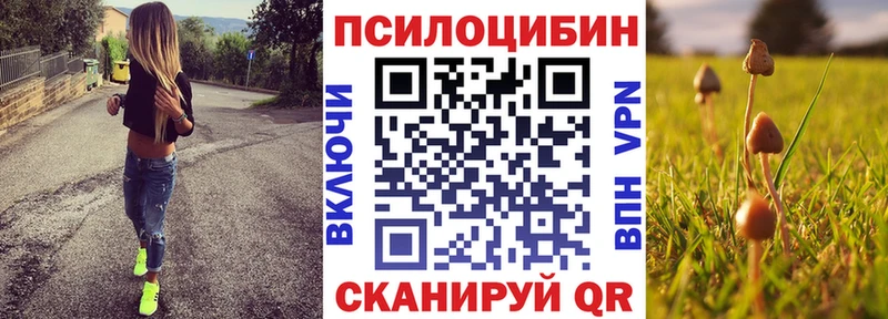 Галлюциногенные грибы GOLDEN TEACHER  Купить  Пересвет 